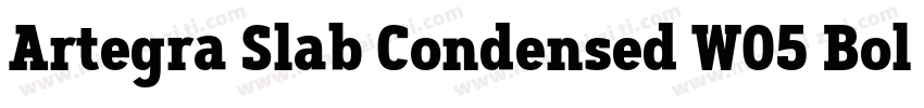 Artegra Slab Condensed W05 Bold字体转换